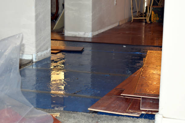 Professional Burst Pipe Cleanup technician working in Beulah, ND